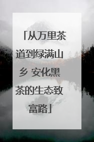 从万里茶道到绿满山乡 安化黑茶的生态致富路