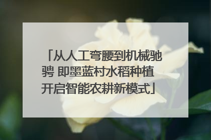 从人工弯腰到机械驰骋 即墨蓝村水稻种植开启智能农耕新模式