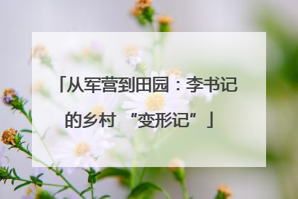 从军营到田园：李书记的乡村 “变形记”