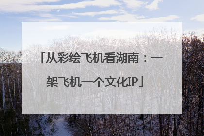 从彩绘飞机看湖南：一架飞机一个文化IP