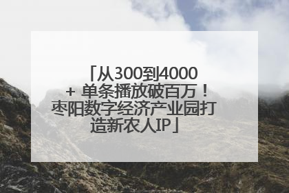 从300到4000+ 单条播放破百万！枣阳数字经济产业园打造新农人IP