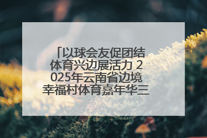 以球会友促团结 体育兴边展活力 2025年云南省边境幸福村体育嘉年华三人篮球赛圆满收官