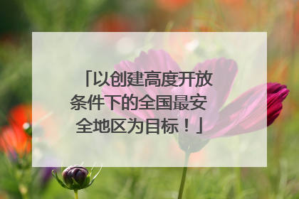 以创建高度开放条件下的全国最安全地区为目标！
