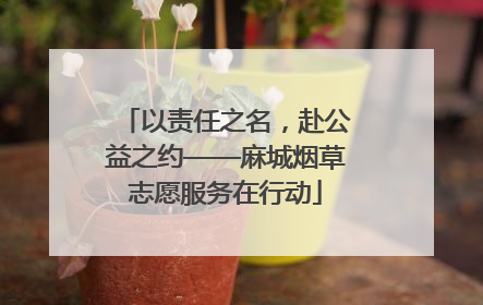 以责任之名，赴公益之约——麻城烟草志愿服务在行动