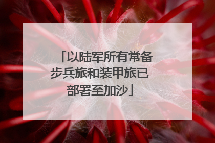 以陆军所有常备步兵旅和装甲旅已部署至加沙