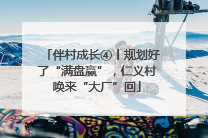 伴村成长④丨规划好了“满盘赢”，仁义村唤来“大厂”回