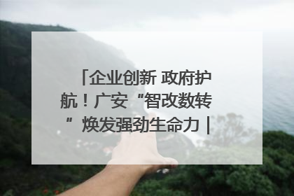 企业创新 政府护航！广安“智改数转”焕发强劲生命力｜市州焕新力