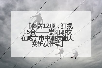 参赛12项，狂揽15金——崇阳职校在咸宁市中职技能大赛斩获佳绩