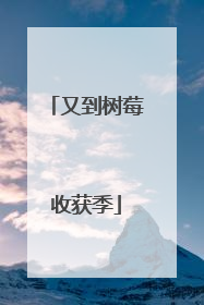 又到树莓收获季