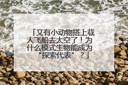 又有小动物搭上载人飞船去太空了！为什么模式生物能成为“探索代表”？