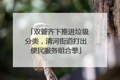 双管齐下推进垃圾分类，清河街道打出便民服务组合拳