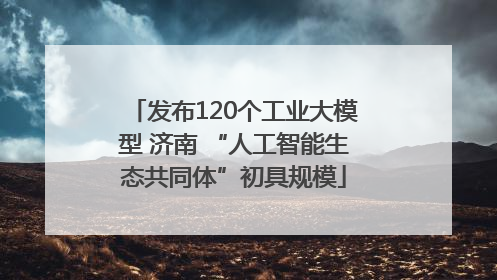 发布120个工业大模型 济南 “人工智能生态共同体”初具规模