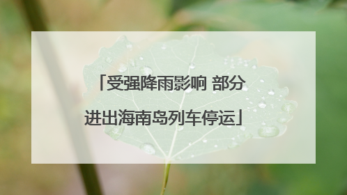受强降雨影响 部分进出海南岛列车停运