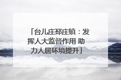 台儿庄邳庄镇：发挥人大监督作用 助力人居环境提升