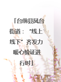 台前县凤台街道：“线上线下”齐发力 暖心验证进行时