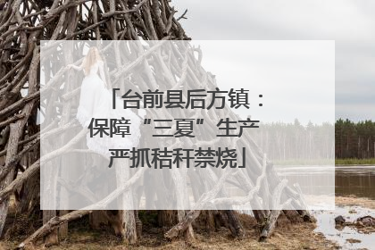 台前县后方镇：保障“三夏”生产 严抓秸秆禁烧