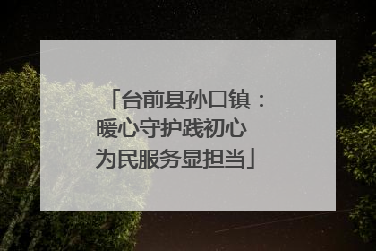 台前县孙口镇：暖心守护践初心 为民服务显担当