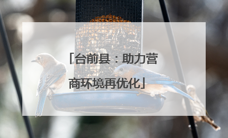 台前县：助力营商环境再优化