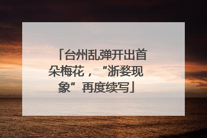 台州乱弹开出首朵梅花，“浙婺现象”再度续写