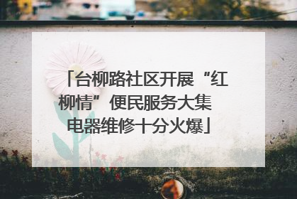 台柳路社区开展“红柳情”便民服务大集 电器维修十分火爆