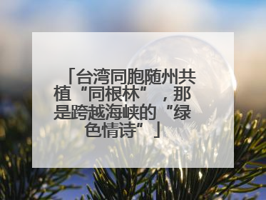 台湾同胞随州共植“同根林”,那是跨越海峡的“绿色情诗”