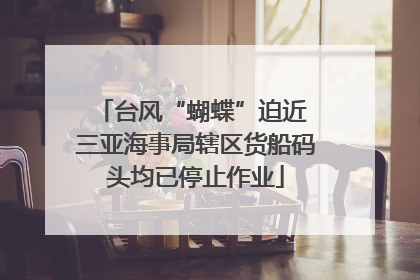 台风“蝴蝶”迫近 三亚海事局辖区货船码头均已停止作业