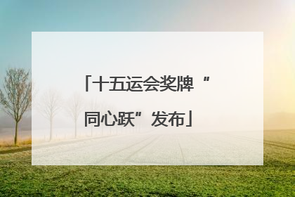 十五运会奖牌“同心跃”发布