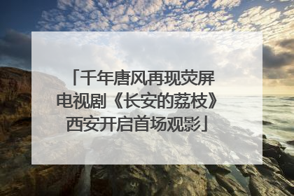 千年唐风再现荧屏 电视剧《长安的荔枝》西安开启首场观影