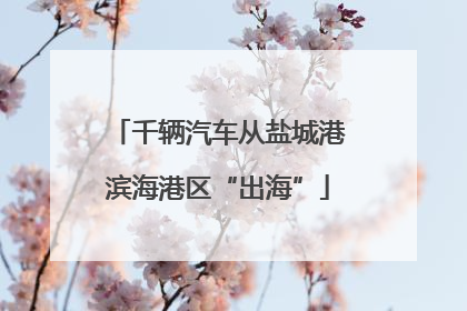 千辆汽车从盐城港滨海港区“出海”