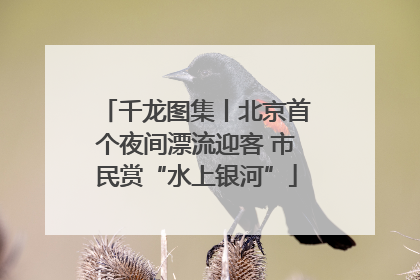 千龙图集丨北京首个夜间漂流迎客 市民赏“水上银河”
