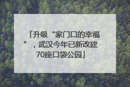 升级“家门口的幸福”，武汉今年已新改建70座口袋公园
