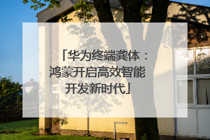 华为终端龚体：鸿蒙开启高效智能开发新时代