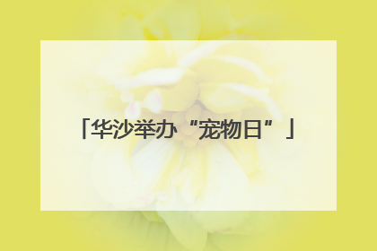 华沙举办“宠物日”