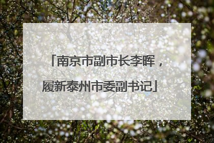 南京市副市长李晖，履新泰州市委副书记