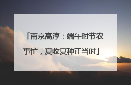 南京高淳：端午时节农事忙，夏收夏种正当时