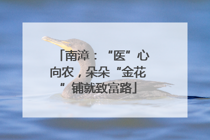 南漳：“医”心向农，朵朵“金花”铺就致富路