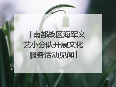 南部战区海军文艺小分队开展文化服务活动见闻