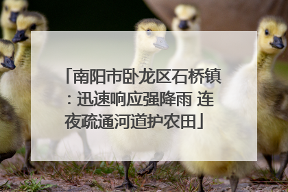 南阳市卧龙区石桥镇：迅速响应强降雨 连夜疏通河道护农田