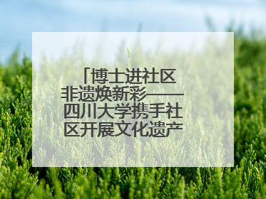 博士进社区 非遗焕新彩——四川大学携手社区开展文化遗产日特别活动