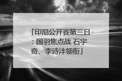 印尼公开赛第三日：国羽焦点战 石宇奇、李诗沣领衔