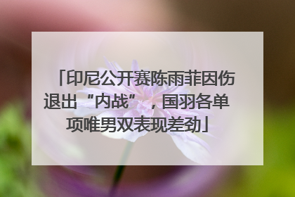 印尼公开赛陈雨菲因伤退出“内战”，国羽各单项唯男双表现差劲
