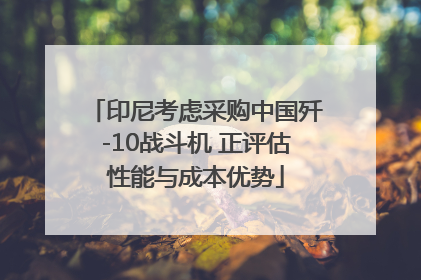 印尼考虑采购中国歼-10战斗机 正评估性能与成本优势