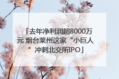 去年净利润超8000万元 烟台莱州这家“小巨人”冲刺北交所IPO