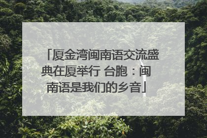 厦金湾闽南语交流盛典在厦举行 台胞：闽南语是我们的乡音