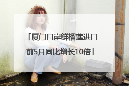 厦门口岸鲜榴莲进口 前5月同比增长10倍