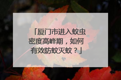 厦门市进入蚊虫密度高峰期，如何有效防蚊灭蚊？
