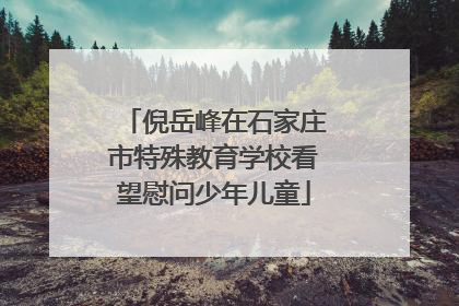 倪岳峰在石家庄市特殊教育学校看望慰问少年儿童