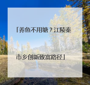 养鱼不用塘？江陵秦市乡创新致富路径
