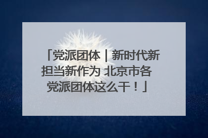 党派团体｜新时代新担当新作为 北京市各党派团体这么干！