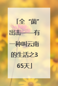 全“菌”出击——有一种叫云南的生活之365天